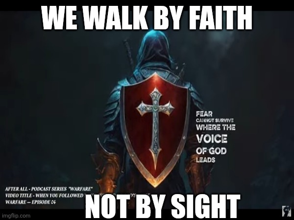 Shield of Faith | WE WALK BY FAITH; NOT BY SIGHT | image tagged in faith in humanity,a small price to pay for salvation,rising of the shield hero,god religion universe | made w/ Imgflip meme maker