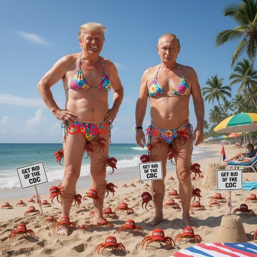 MEGA MAGA CRABS | CRABS MAKE SEXUAL TRANSMITTED DISEASES GREAT AGAIN PUBIL LICE | image tagged in crabs,pubic lice,maga,trump,sexually transmitted infection,cdc | made w/ Imgflip meme maker