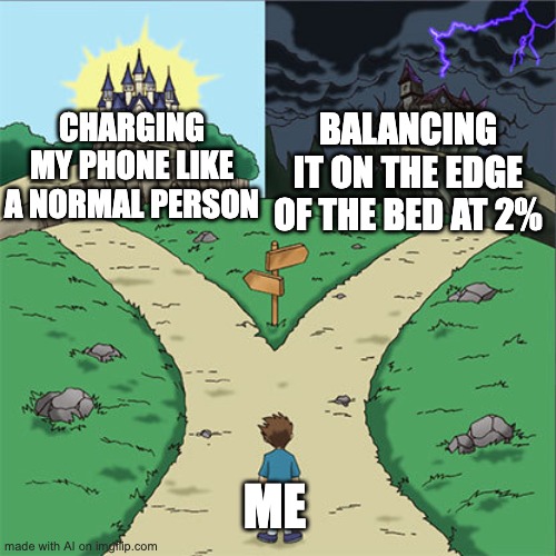 bad | CHARGING MY PHONE LIKE A NORMAL PERSON; BALANCING IT ON THE EDGE OF THE BED AT 2%; ME | image tagged in two paths | made w/ Imgflip meme maker