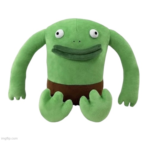 Mr Frog Plushie | image tagged in mr frog plushie | made w/ Imgflip meme maker