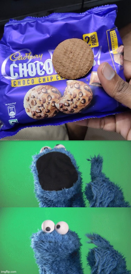 Not even chocolate chip | image tagged in cookie monster wait what,cookies,cookie,memes,you had one job,chocolate chip | made w/ Imgflip meme maker