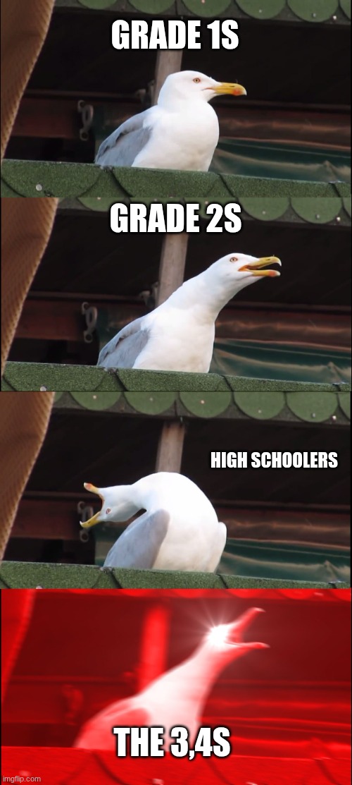 Inhaling Seagull | GRADE 1S; GRADE 2S; HIGH SCHOOLERS; THE 3,4S | image tagged in memes,inhaling seagull | made w/ Imgflip meme maker