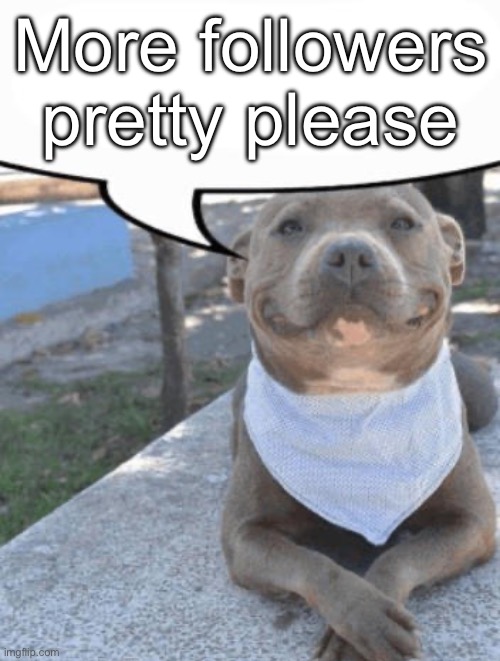 Waiter more x please | More followers pretty please | image tagged in waiter more x please | made w/ Imgflip meme maker