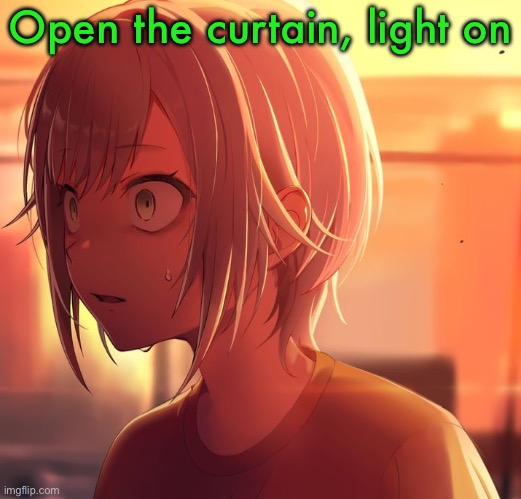 Shiho Mizu5 | Open the curtain, light on | image tagged in shiho mizu5 | made w/ Imgflip meme maker