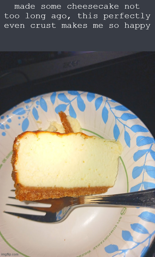made some cheesecake not too long ago, this perfectly even crust makes me so happy | made w/ Imgflip meme maker