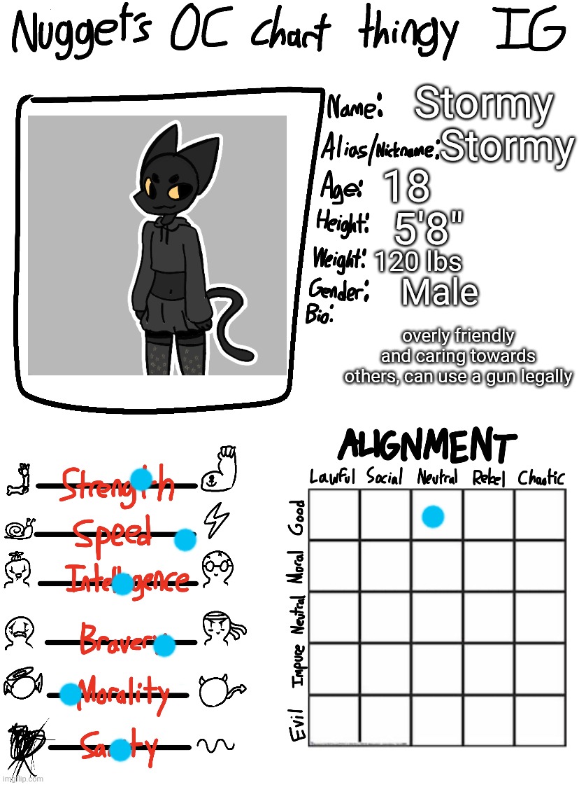 Nugget’s OC Chart Thingy IG | Stormy; Stormy; 18; 5'8"; 120 lbs; Male; overly friendly and caring towards others, can use a gun legally | image tagged in nugget s oc chart thingy ig | made w/ Imgflip meme maker