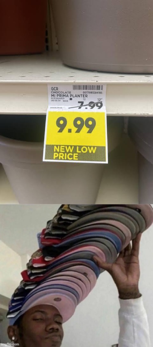 "New low price" | image tagged in that s a lot of cap,planter,plant,price,memes,you had one job | made w/ Imgflip meme maker