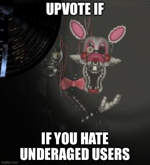 i hate minors | UPVOTE IF; IF YOU HATE UNDERAGED USERS | image tagged in mangle | made w/ Imgflip meme maker