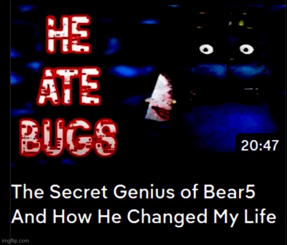 why did bear5 do that | made w/ Imgflip meme maker