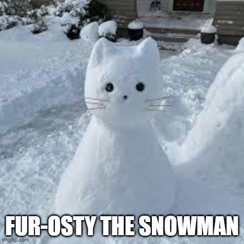 Furosty the Snowman is a cat. | FUR-OSTY THE SNOWMAN | image tagged in cat,kittens,funny,humor,snowman,christmas | made w/ Imgflip meme maker