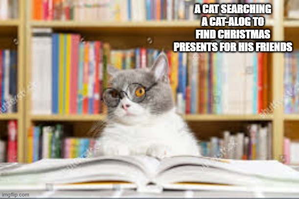 Cats us cat-alogs to shop for gifts for their friends | A CAT SEARCHING A CAT-ALOG TO FIND CHRISTMAS PRESENTS FOR HIS FRIENDS | image tagged in cat,kittens,humor,funny,christmas,presents | made w/ Imgflip meme maker