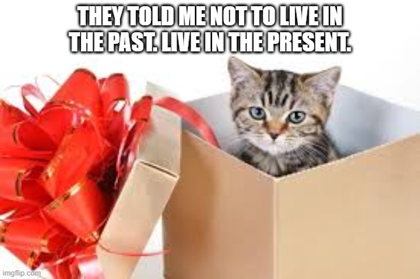 Kitten was told not to live in the past so she lives in the present.  --  funny  -- | THEY TOLD ME NOT TO LIVE IN THE PAST. LIVE IN THE PRESENT. | image tagged in cat,kitten,funny,humor,play on words,christmas | made w/ Imgflip meme maker