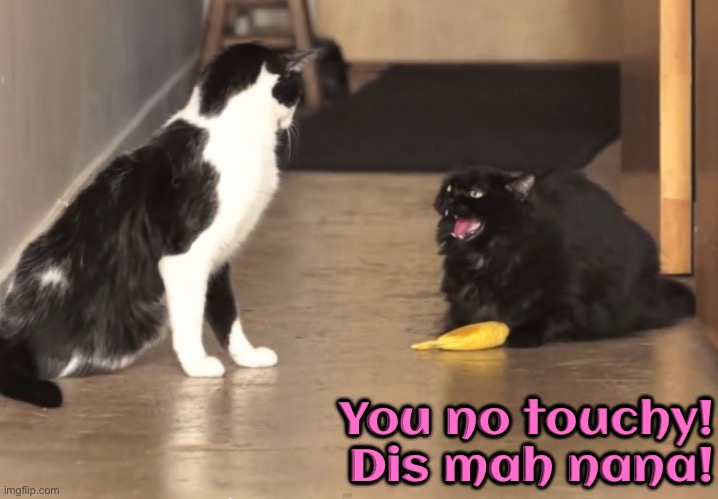 Dis Mah Nana | You no touchy! Dis mah nana! | image tagged in cats,funny cats,mine,don't touch my food,aggressive,no | made w/ Imgflip meme maker