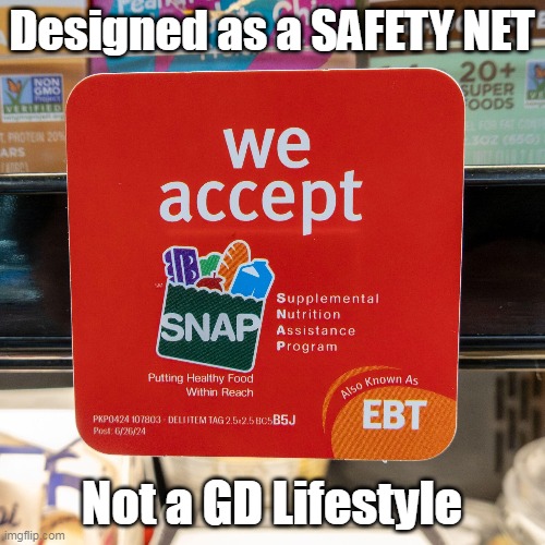 Designed as a SAFETY NET Not a GD Lifestyle | made w/ Imgflip meme maker