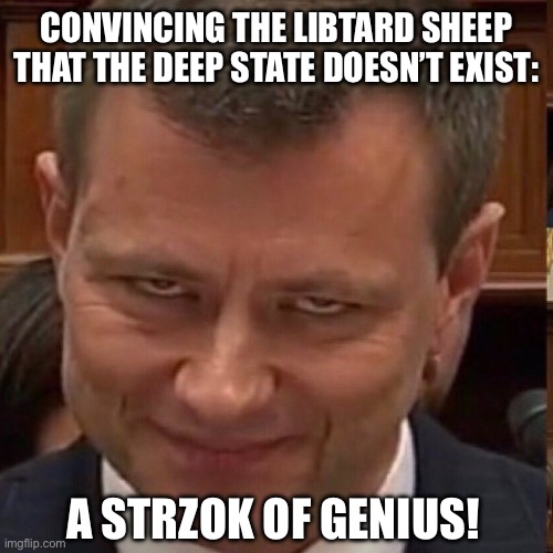 Face of the Deep State | CONVINCING THE LIBTARD SHEEP THAT THE DEEP STATE DOESN’T EXIST:; A STRZOK OF GENIUS! | image tagged in face of the deep state | made w/ Imgflip meme maker