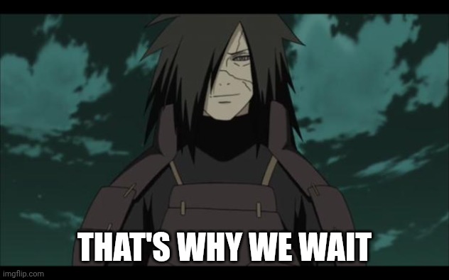 Madara approves | THAT'S WHY WE WAIT | image tagged in madara approves | made w/ Imgflip meme maker
