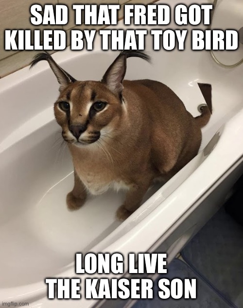 floppa | SAD THAT FRED GOT KILLED BY THAT TOY BIRD; LONG LIVE THE KAISER SON | image tagged in floppa | made w/ Imgflip meme maker