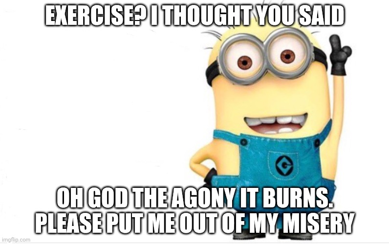 Minion Facebook Meme | EXERCISE? I THOUGHT YOU SAID; OH GOD THE AGONY IT BURNS. PLEASE PUT ME OUT OF MY MISERY | image tagged in minion facebook meme | made w/ Imgflip meme maker