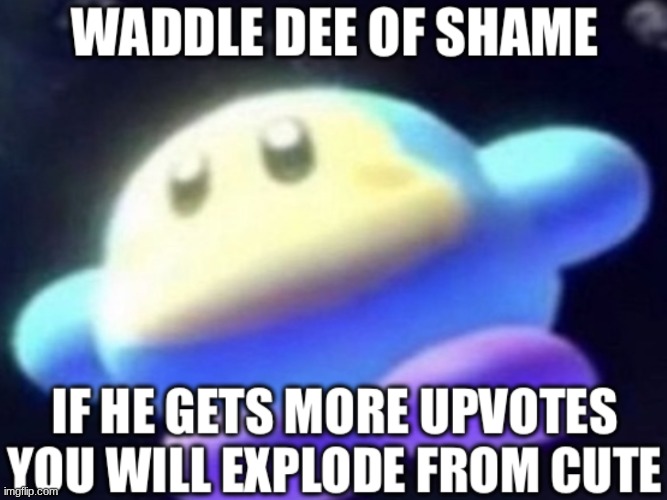 Waddle Dee of Shame | image tagged in waddle dee of shame | made w/ Imgflip meme maker