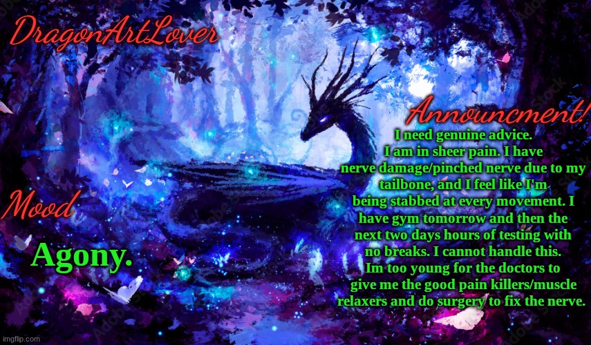 What do I do? | I need genuine advice. I am in sheer pain. I have nerve damage/pinched nerve due to my tailbone, and I feel like I'm being stabbed at every movement. I have gym tomorrow and then the next two days hours of testing with no breaks. I cannot handle this. Im too young for the doctors to give me the good pain killers/muscle relaxers and do surgery to fix the nerve. Agony. | image tagged in dragonartlover dragon announcement | made w/ Imgflip meme maker