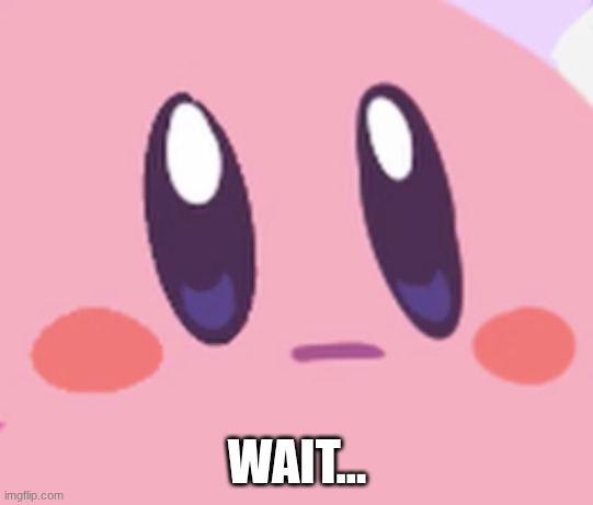 Blank Kirby Face | WAIT... | image tagged in blank kirby face | made w/ Imgflip meme maker