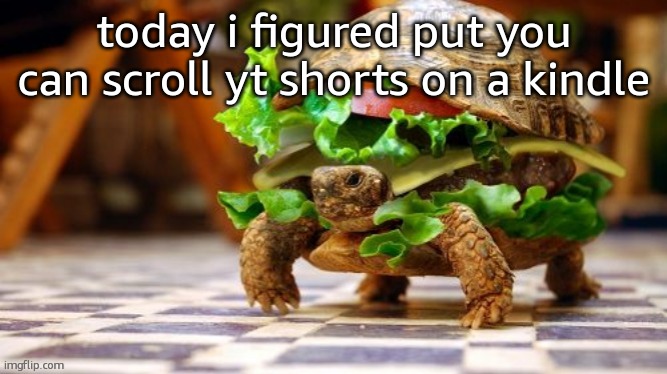Tortoise Samwich | today i figured put you can scroll yt shorts on a kindle | image tagged in tortoise samwich | made w/ Imgflip meme maker