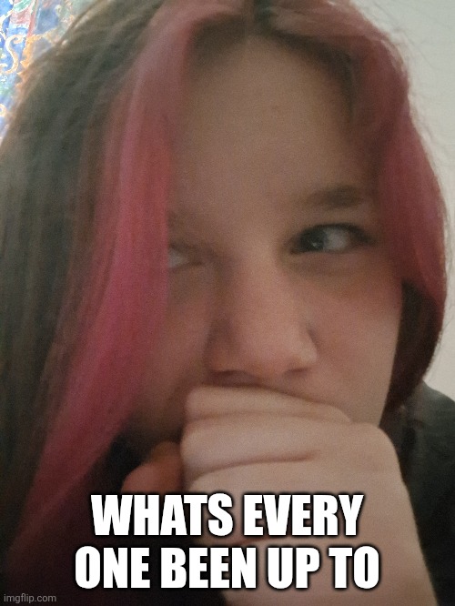 WHATS EVERY ONE BEEN UP TO | made w/ Imgflip meme maker