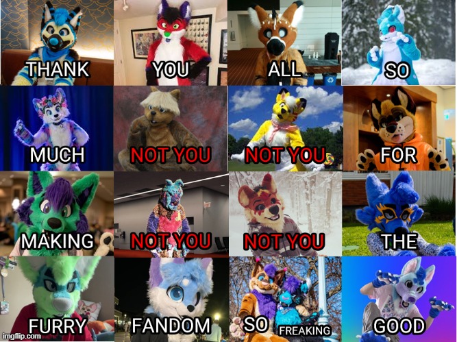 since this month's December and since 2025 is drawing to a close, send this to someone you knew and care for. | image tagged in furry,fursuit,wholesome,2025,furry and normie memes,merry christmas | made w/ Imgflip meme maker