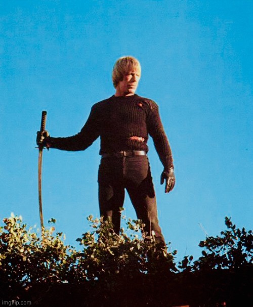 Chuck Norris Samurai Sword | image tagged in chuck norris samurai sword | made w/ Imgflip meme maker