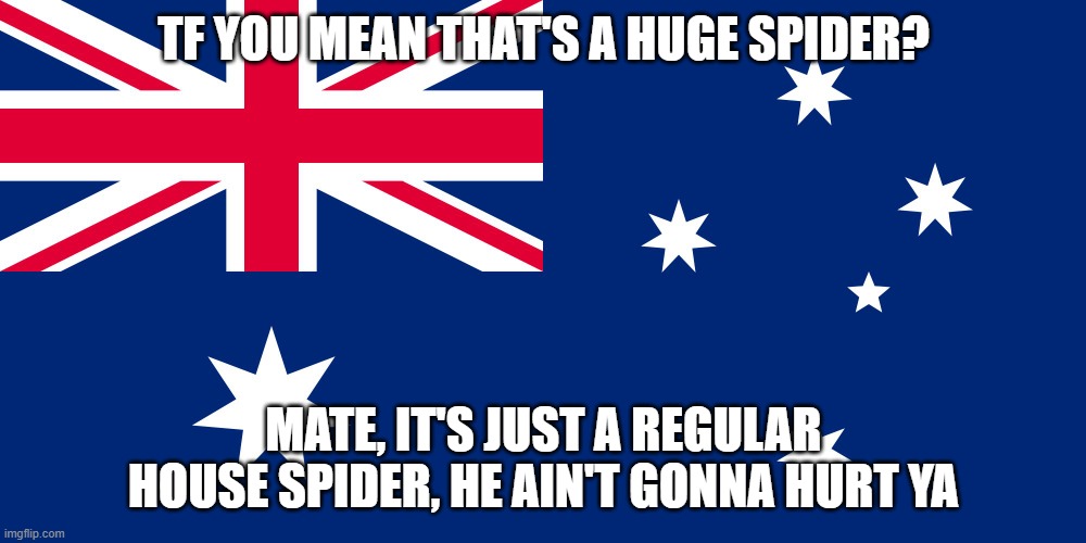 Australian Flag | TF YOU MEAN THAT'S A HUGE SPIDER? MATE, IT'S JUST A REGULAR HOUSE SPIDER, HE AIN'T GONNA HURT YA | image tagged in australian flag | made w/ Imgflip meme maker