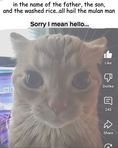 never letting Nick make a meme on my account again (my older brother) | in the name of the father, the son, and the washed rice..all hail the mulan man | image tagged in ____ sorry i mean hello | made w/ Imgflip meme maker