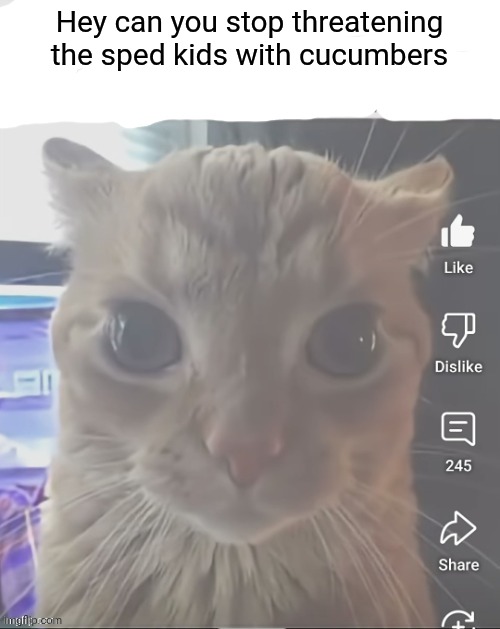 ____..sorry..I mean hello | Hey can you stop threatening the sped kids with cucumbers | image tagged in ____ sorry i mean hello | made w/ Imgflip meme maker