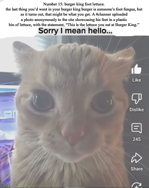 :3 | Number 15: burger king foot lettuce.
the last thing you’d want in your burger king burger is someone’s foot fungus, but as it turns out, that might be what you get. A 4channer uploaded a photo anonymously to the site showcasing his feet in a plastic bin of lettuce, with the statement, “This is the lettuce you eat at Burger King.” | image tagged in ____ sorry i mean hello | made w/ Imgflip meme maker