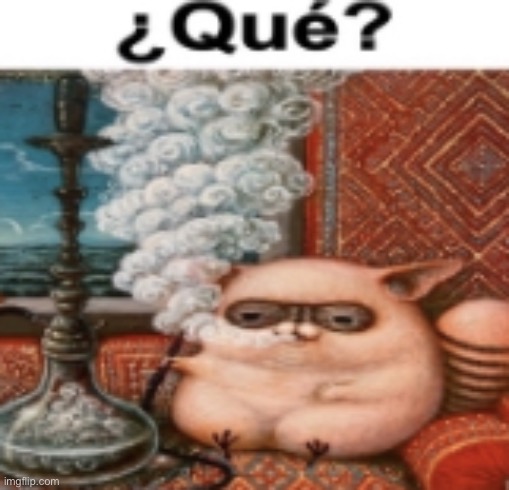 image tagged in qu | made w/ Imgflip meme maker