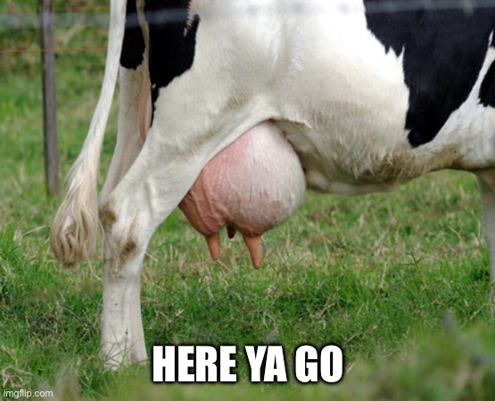 HERE YA GO | image tagged in udder | made w/ Imgflip meme maker
