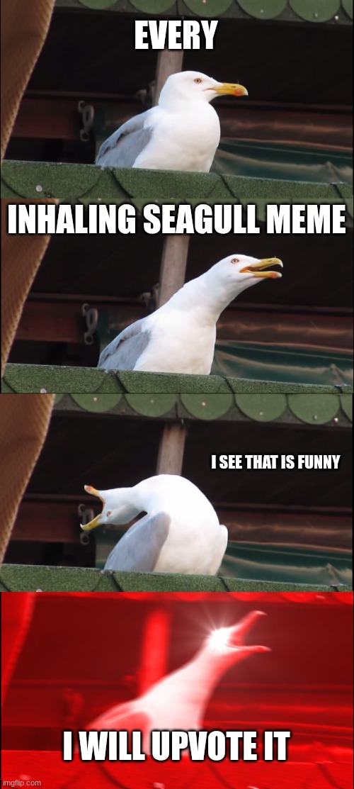 Inhaling Seagull | EVERY; INHALING SEAGULL MEME; I SEE THAT IS FUNNY; I WILL UPVOTE IT | image tagged in memes,inhaling seagull | made w/ Imgflip meme maker