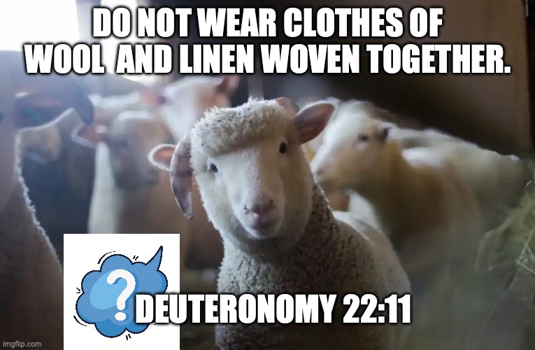 The Way of the Lord | DO NOT WEAR CLOTHES OF WOOL  AND LINEN WOVEN TOGETHER. DEUTERONOMY 22:11 | image tagged in holy | made w/ Imgflip meme maker
