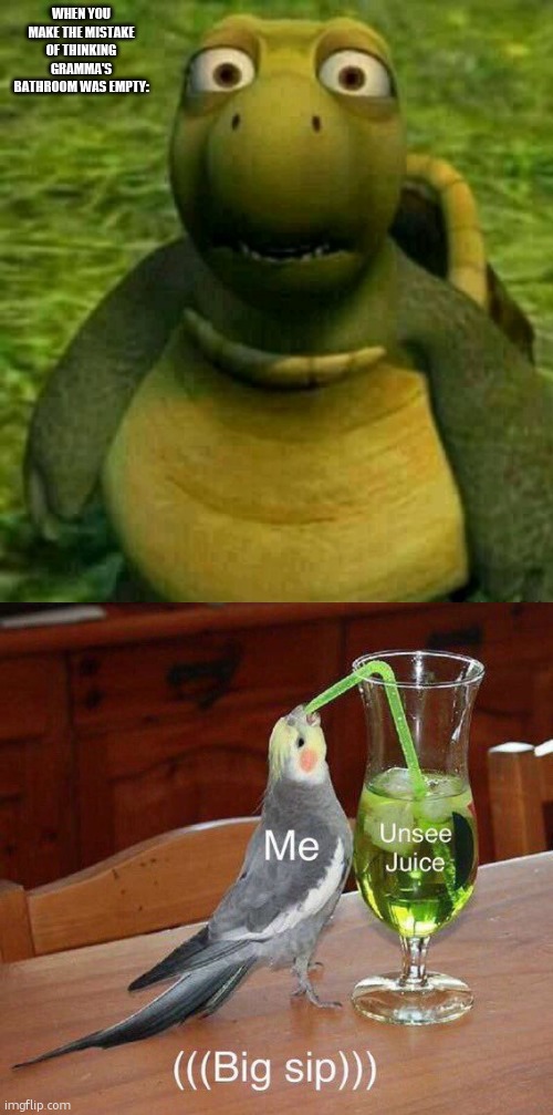 WHEN YOU MAKE THE MISTAKE OF THINKING GRAMMA'S BATHROOM WAS EMPTY: | image tagged in shocked turtle,unsee juice big sip | made w/ Imgflip meme maker