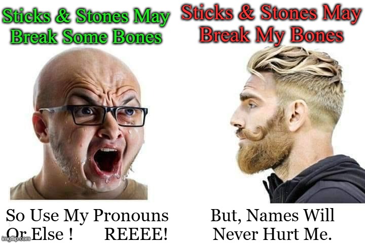 Soy boy vs. Chad AI generated | So Use My Pronouns
Or Else !       REEEE! But, Names Will
Never Hurt Me. Sticks & Stones May
Break Some Bones Sticks & Stones May
Break My B | image tagged in soy boy vs chad ai generated | made w/ Imgflip meme maker