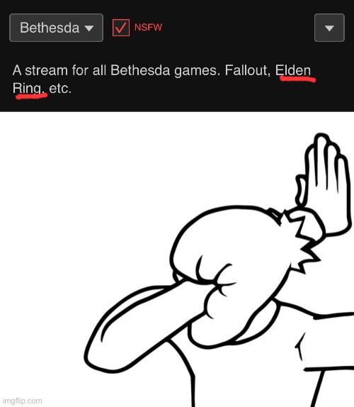 Bethesda | image tagged in face palm | made w/ Imgflip meme maker