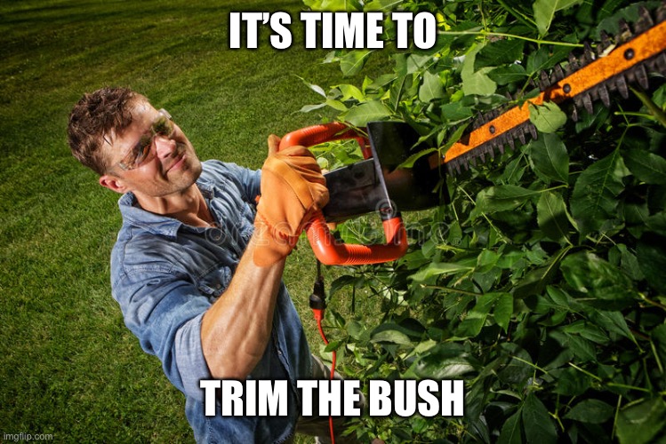 IT’S TIME TO TRIM THE BUSH | image tagged in man trimming bushes | made w/ Imgflip meme maker