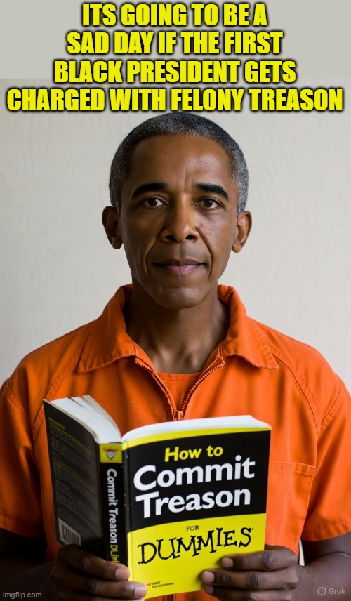 Obama has gotten himself into a mess! Will he flee like the guilty do? | ITS GOING TO BE A SAD DAY IF THE FIRST BLACK PRESIDENT GETS CHARGED WITH FELONY TREASON | image tagged in obama,barack obama,treason,traitor,deep state,for dummies | made w/ Imgflip meme maker