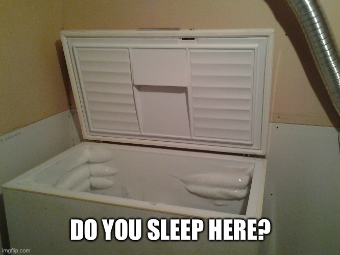 freezer | DO YOU SLEEP HERE? | image tagged in freezer | made w/ Imgflip meme maker