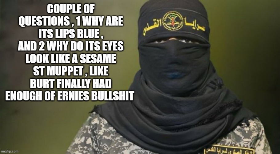 COUPLE OF QUESTIONS , 1 WHY ARE ITS LIPS BLUE , AND 2 WHY DO ITS EYES LOOK LIKE A SESAME ST MUPPET , LIKE BURT FINALLY HAD ENOUGH OF ERNIES BULLSHIT | made w/ Imgflip meme maker
