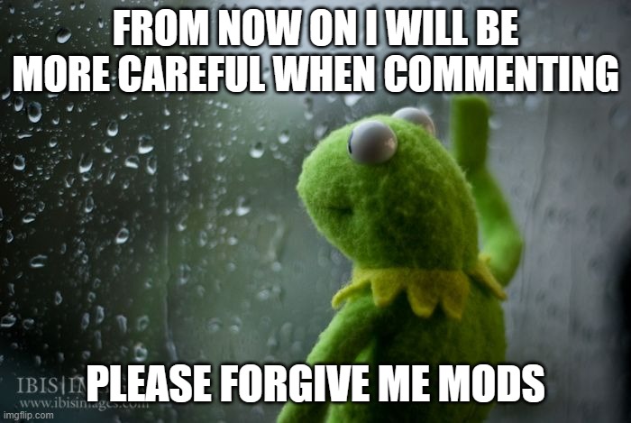 PLEASE FORGIVE ME IM ACTUALLY CRYING | FROM NOW ON I WILL BE MORE CAREFUL WHEN COMMENTING; PLEASE FORGIVE ME MODS | image tagged in im sorry,im so sorry,please,forgive me,i hate myself | made w/ Imgflip meme maker