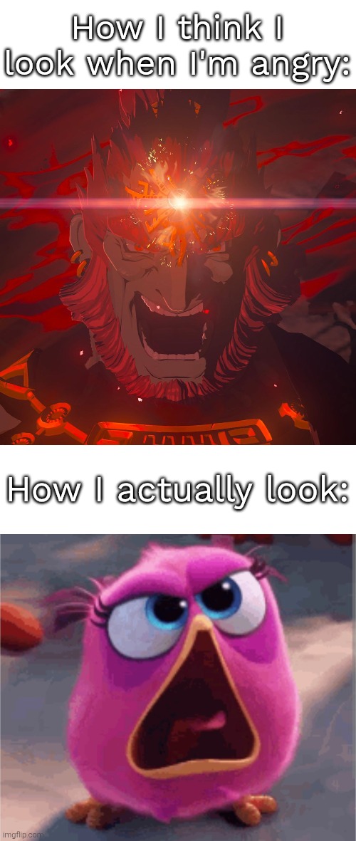 I AM angry! Feel my rage! | How I think I look when I'm angry:; How I actually look: | image tagged in funny,angry | made w/ Imgflip meme maker