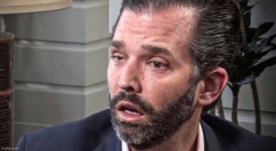don trump jr coked up (facing left) | image tagged in don trump jr coked up facing left | made w/ Imgflip meme maker