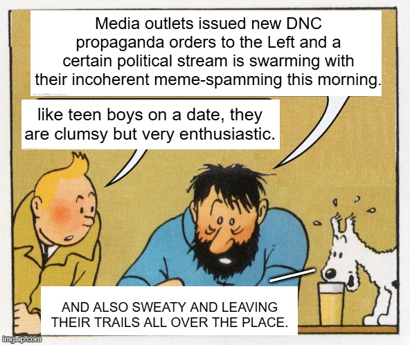 Shudder!  You get the general idea. | Media outlets issued new DNC propaganda orders to the Left and a certain political stream is swarming with their incoherent meme-spamming this morning. like teen boys on a date, they are clumsy but very enthusiastic. __; AND ALSO SWEATY AND LEAVING THEIR TRAILS ALL OVER THE PLACE. | image tagged in what a week huh | made w/ Imgflip meme maker