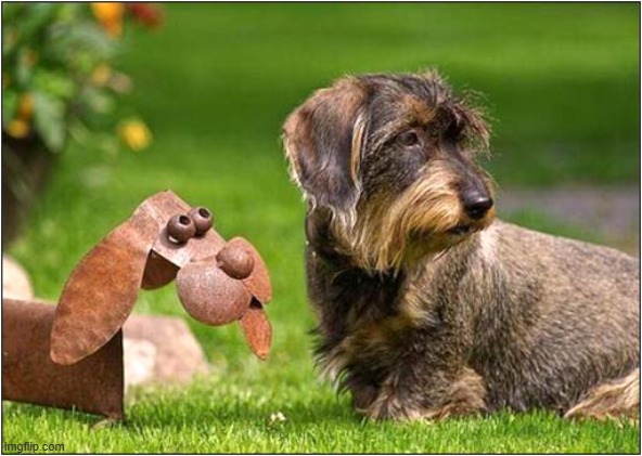 What Are You Looking At ? | image tagged in dogs,sculpture,what are you looking at | made w/ Imgflip meme maker