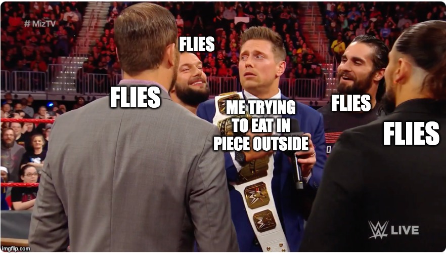 POV: When you try to eat | FLIES; FLIES; FLIES; ME TRYING TO EAT IN PIECE OUTSIDE; FLIES | image tagged in the miz nearly getting gang banged | made w/ Imgflip meme maker